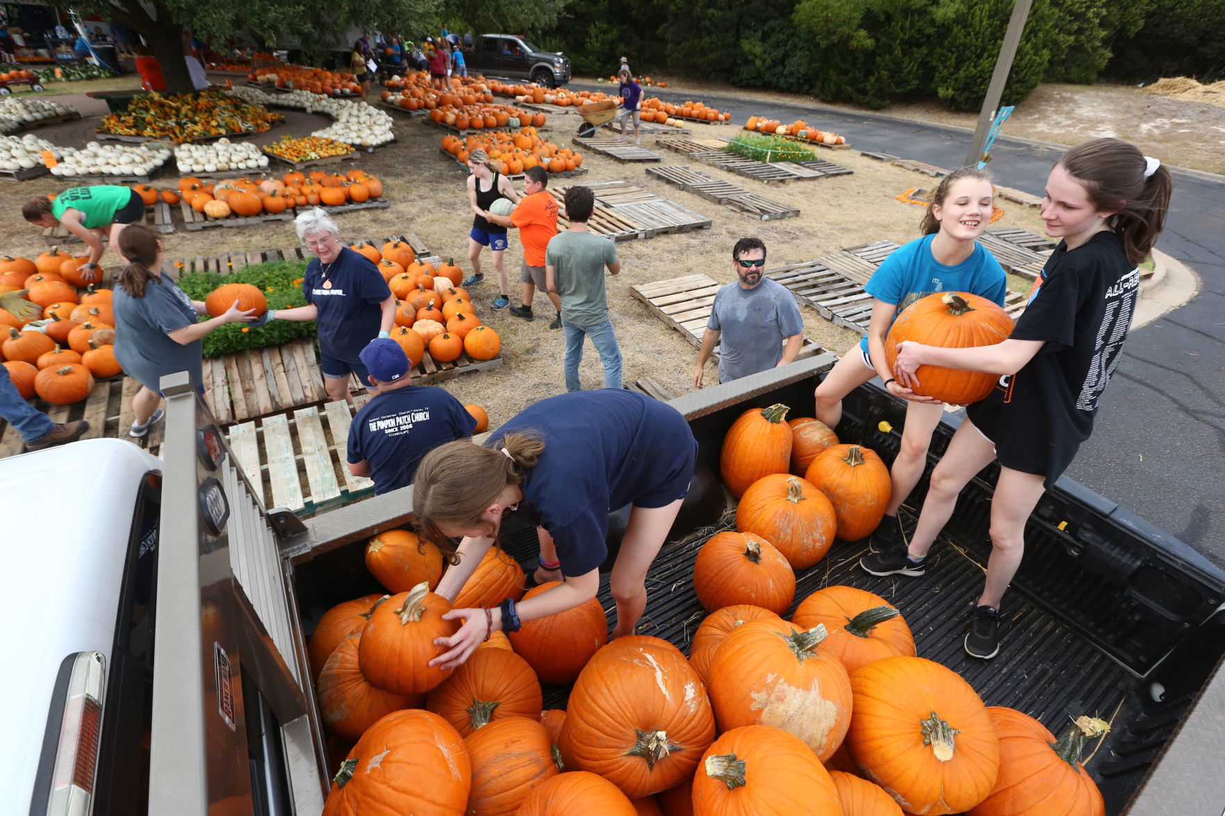 Central Christian pumpkins